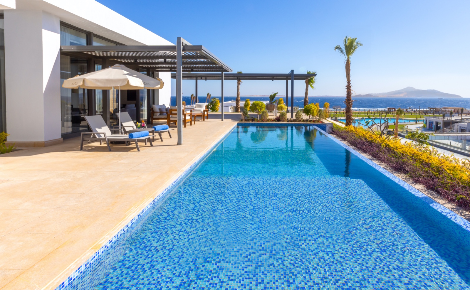 ريكسوس كلوب بريفيه