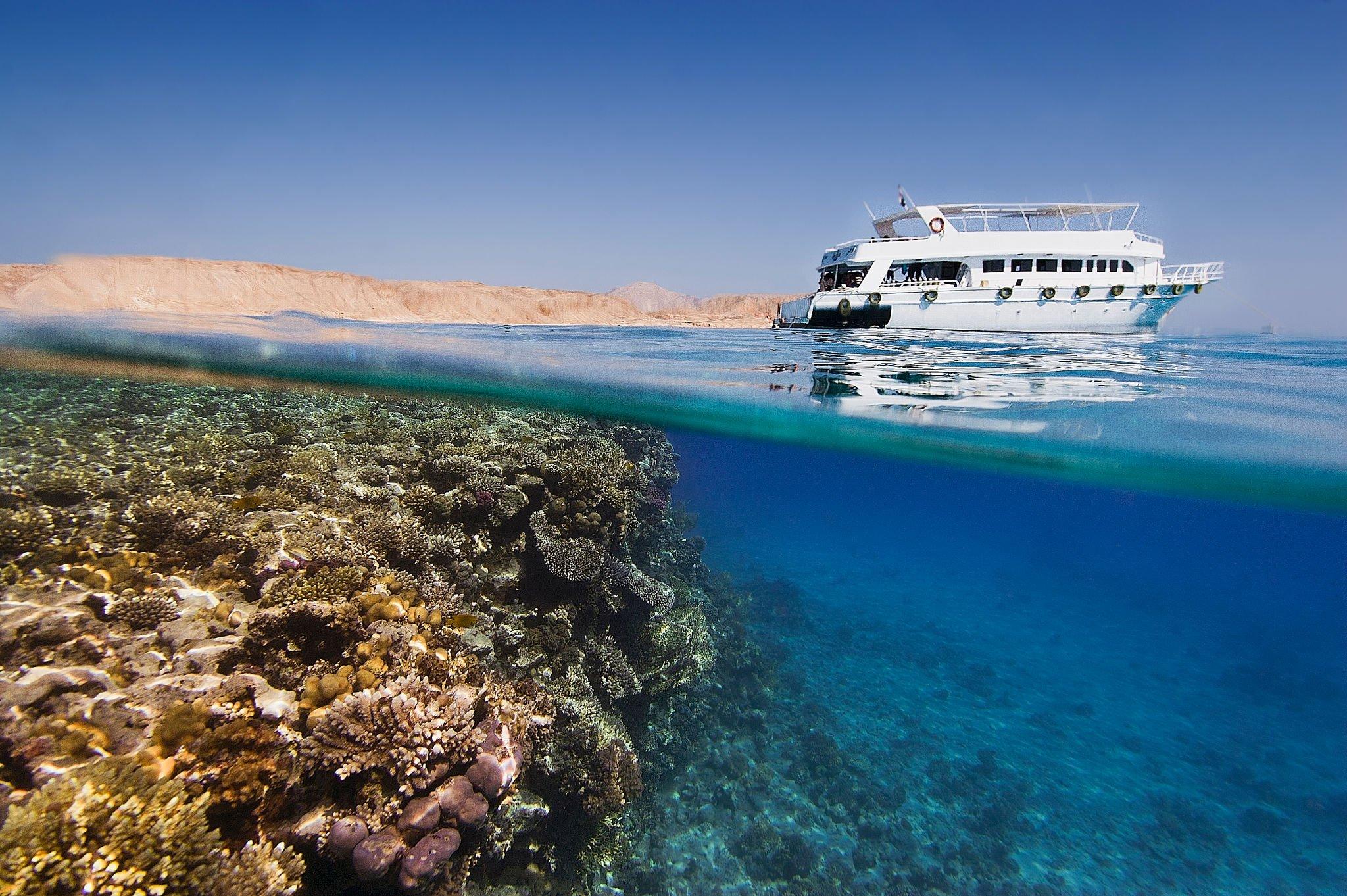 Tiran Island Trip