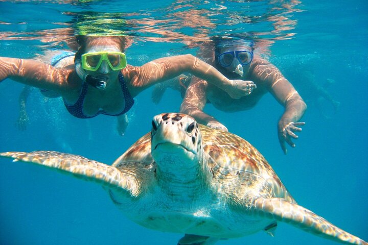 The most beautiful Marsa Alam trips